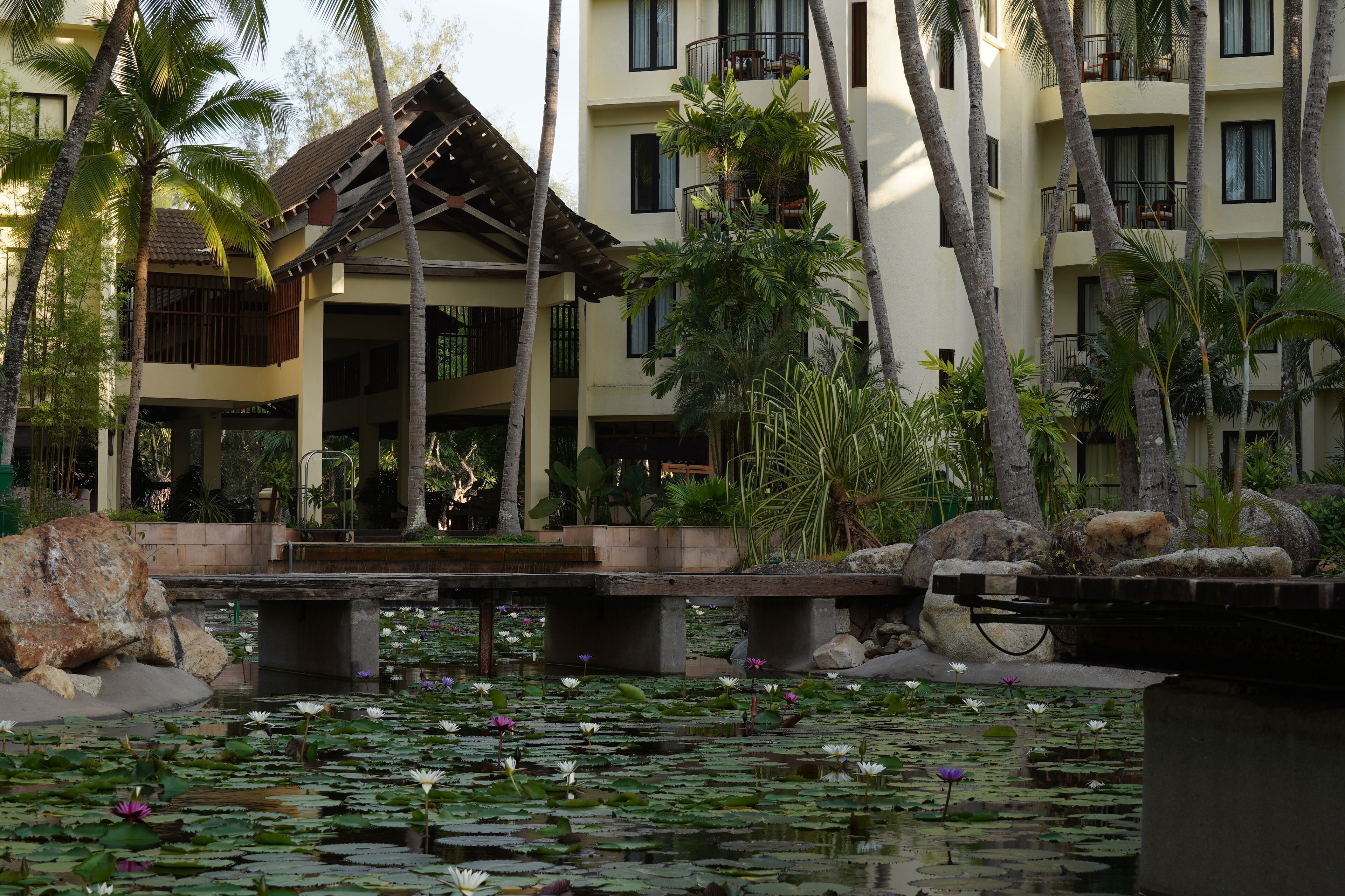 Ein Hotel mit Pool, umgeben von Seerosen und Palmen.