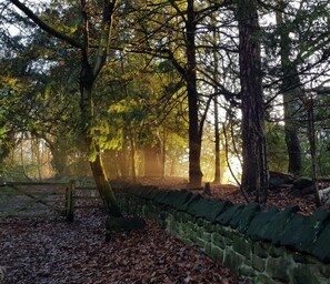 Exterior - Best Western Frodsham Forest Hills Hotel (Frodsham)