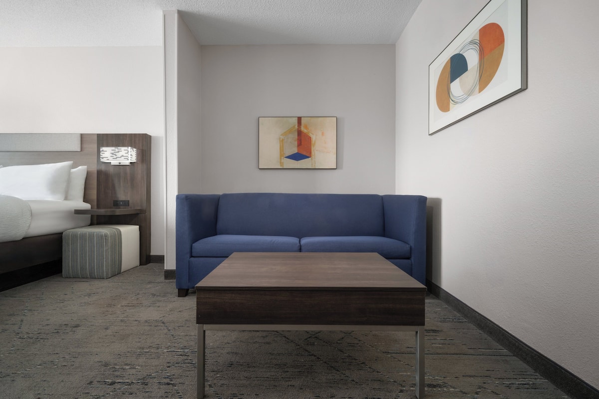 Suite, 1 King Bed with Sofa bed | In-room safe, individually decorated, individually furnished, desk