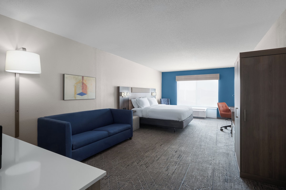 Suite, 1 King-Bett und Schlafsofa | Zimmersafe, individuell dekoriert, individuell eingerichtet