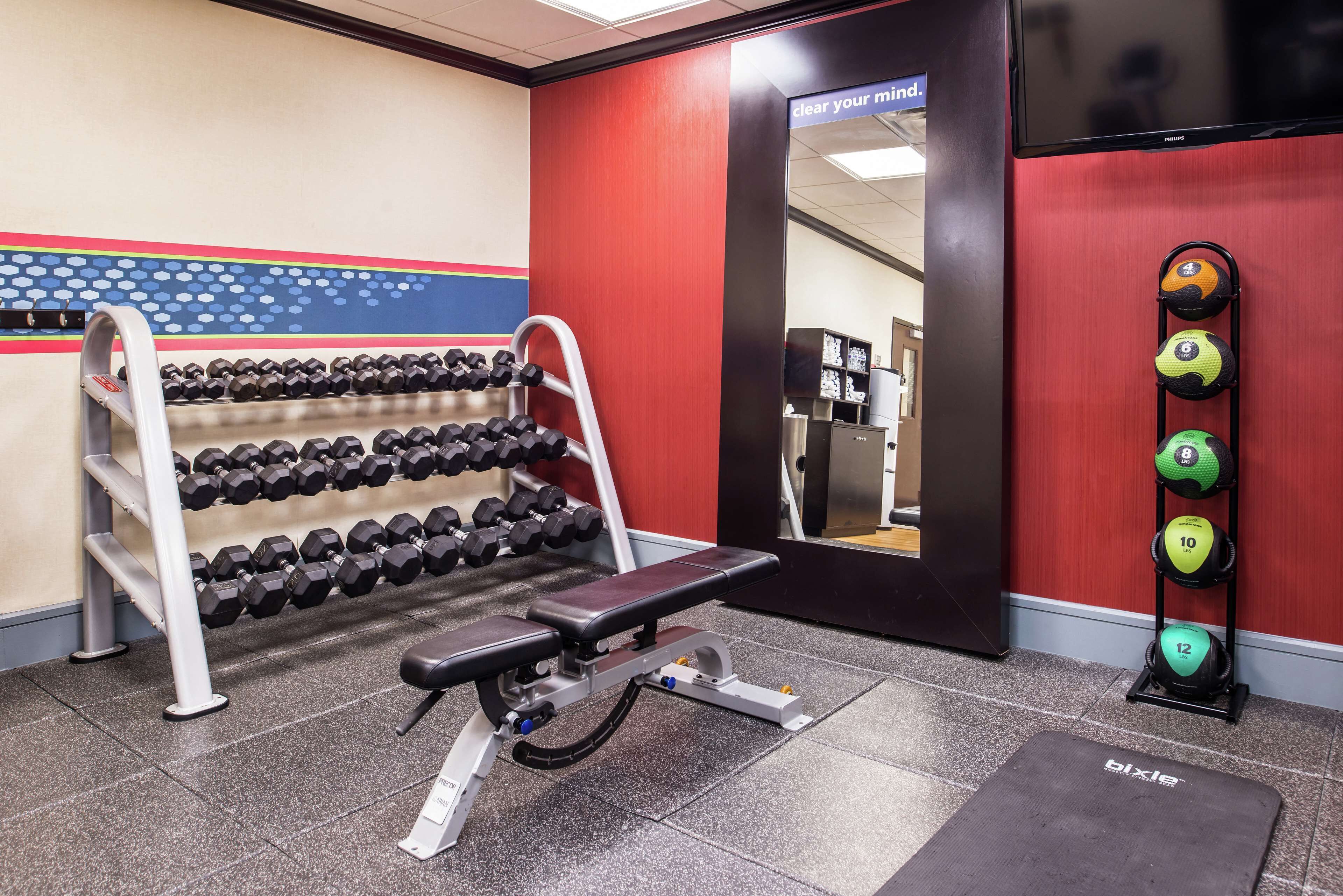 A gym with a bench, dumbbells, and a mirror.