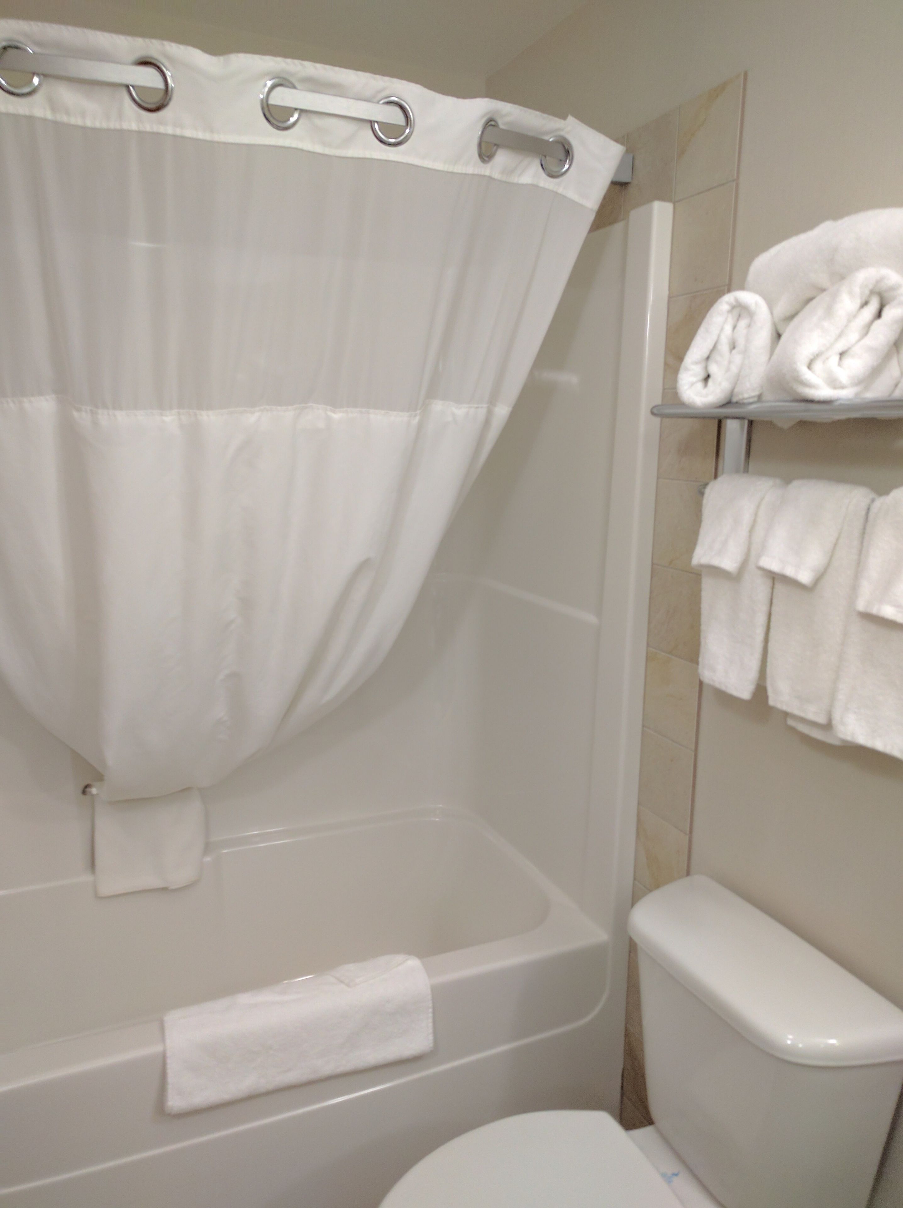 combined shower/bathtub, free toiletries, hair dryer, towels