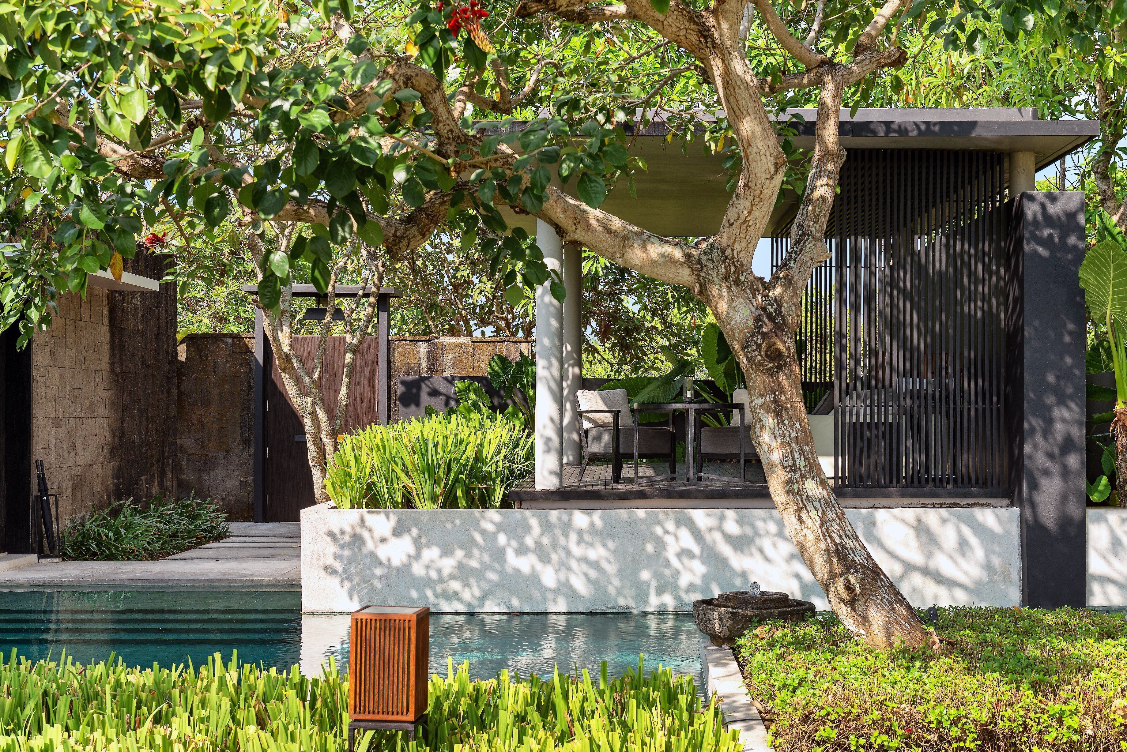 A poolside area with a seating arrangement, a tree, and a modern building structure.