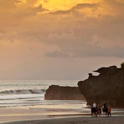 On the beach, black sand, beach yoga, beach volleyball