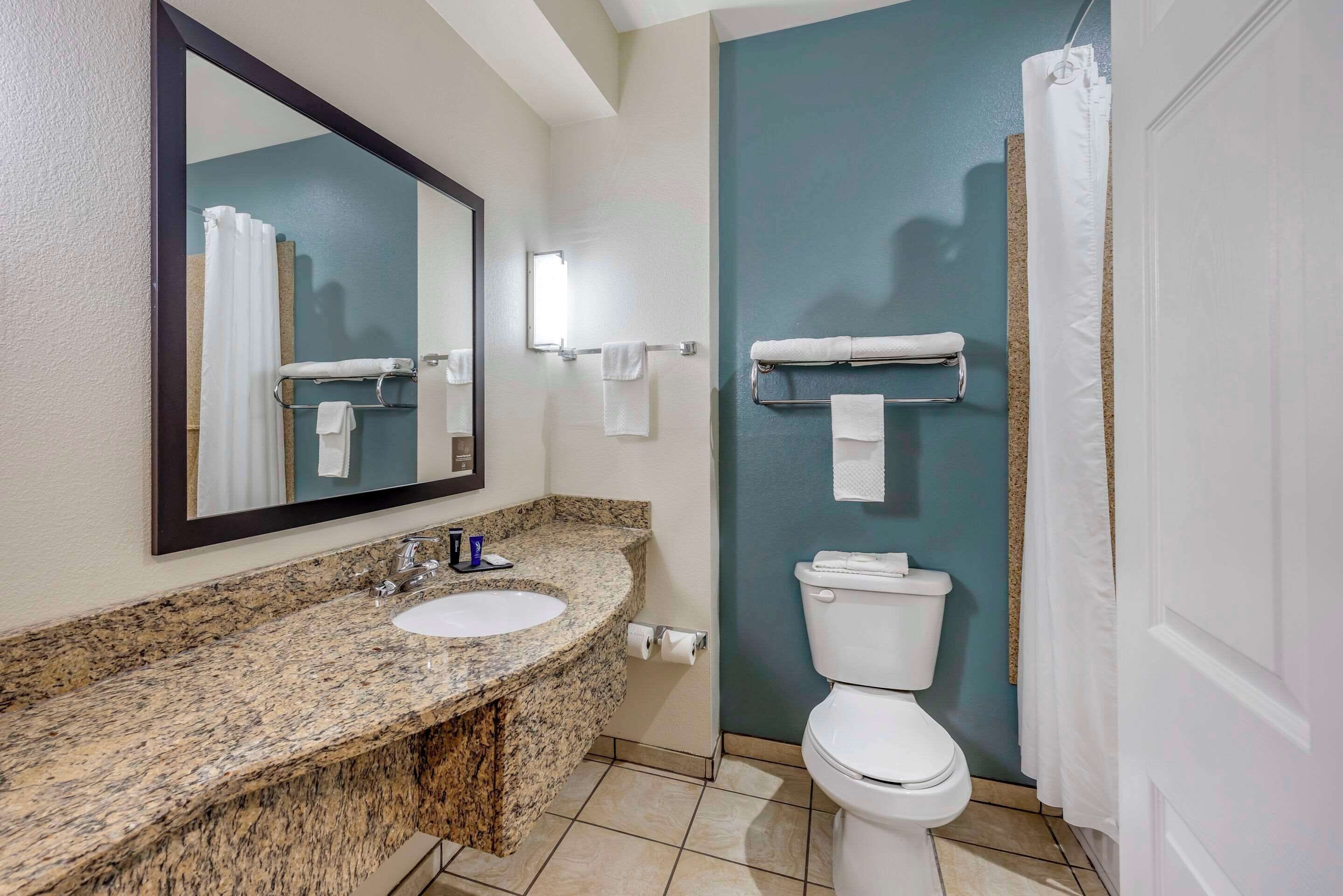 standard room, 1 king bed, non smoking | premium bedding, pillow-top beds, desk, iron/ironing board