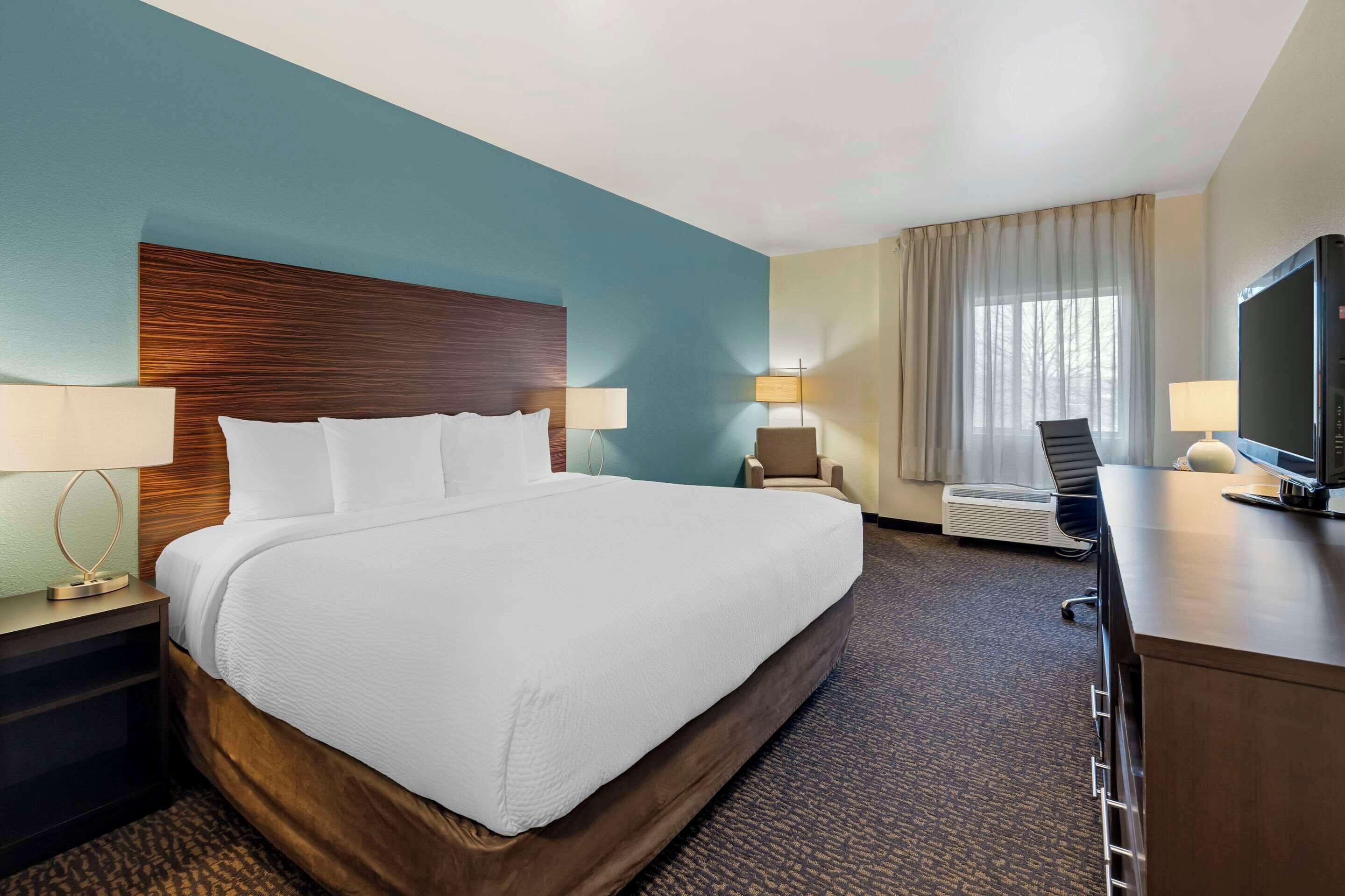 standard room, 1 king bed, non smoking | premium bedding, pillow-top beds, desk, iron/ironing board