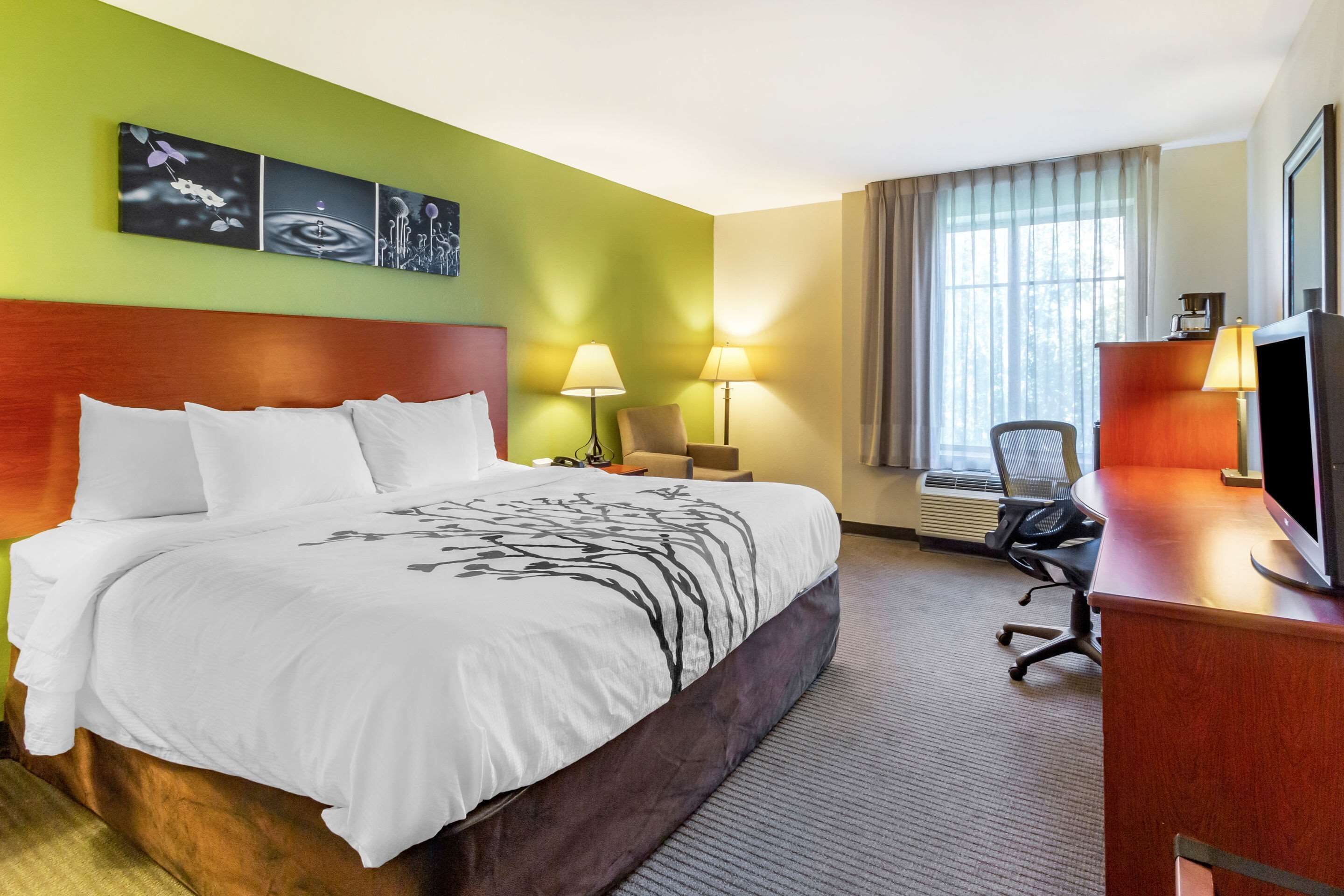 Foto - Sleep Inn & Suites Jacksonville West