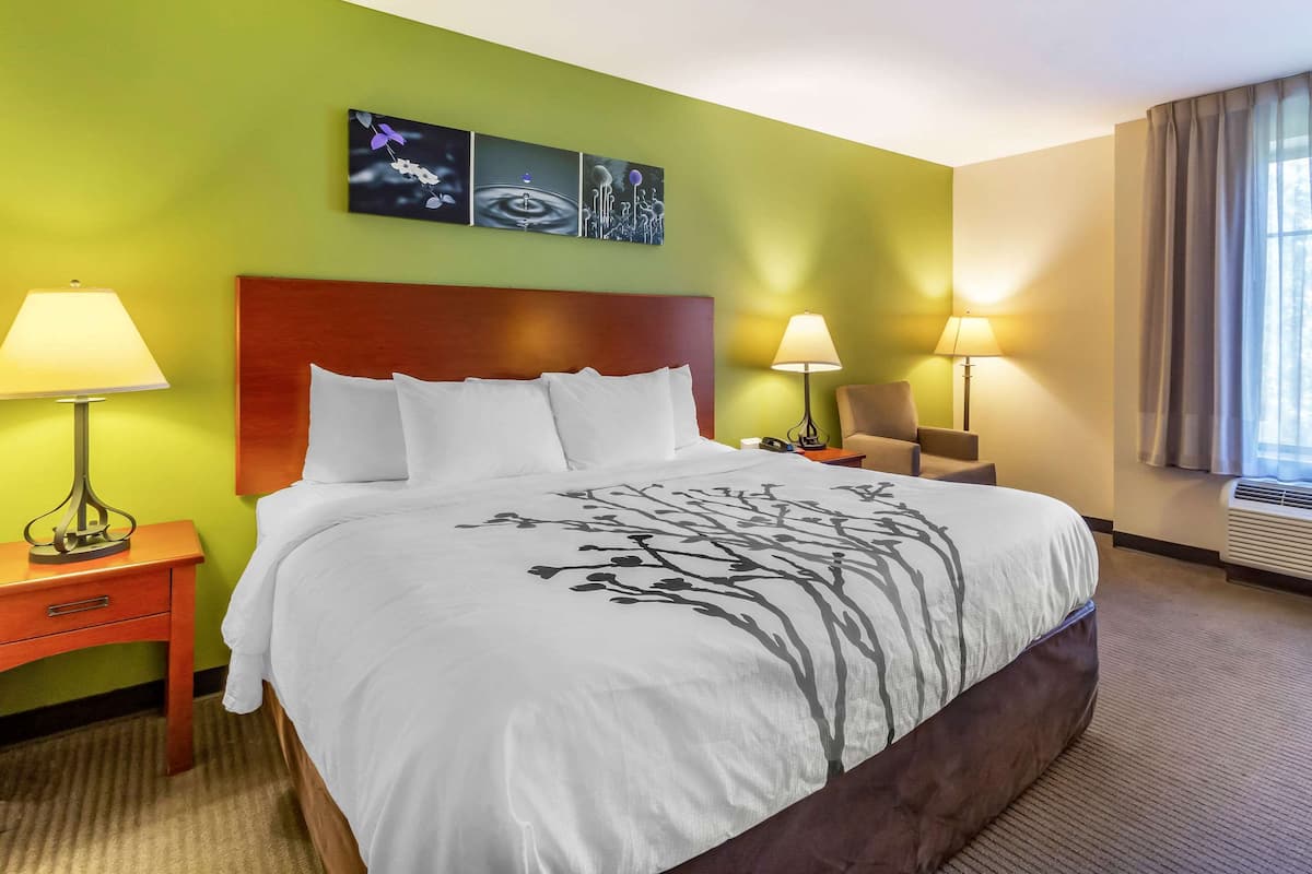 A hotel room with a large bed, two bedside tables with lamps, a green wall, and a window with curtains.