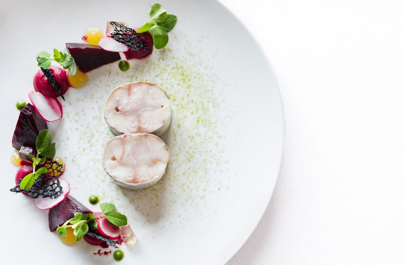Un piatto bianco con porzione di pesce a fette, ravanelli e verdure.