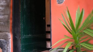 A doorway with a green door, a red wall, and a plant with long green leaves. - Rollando Affittacamere (Vernazza)