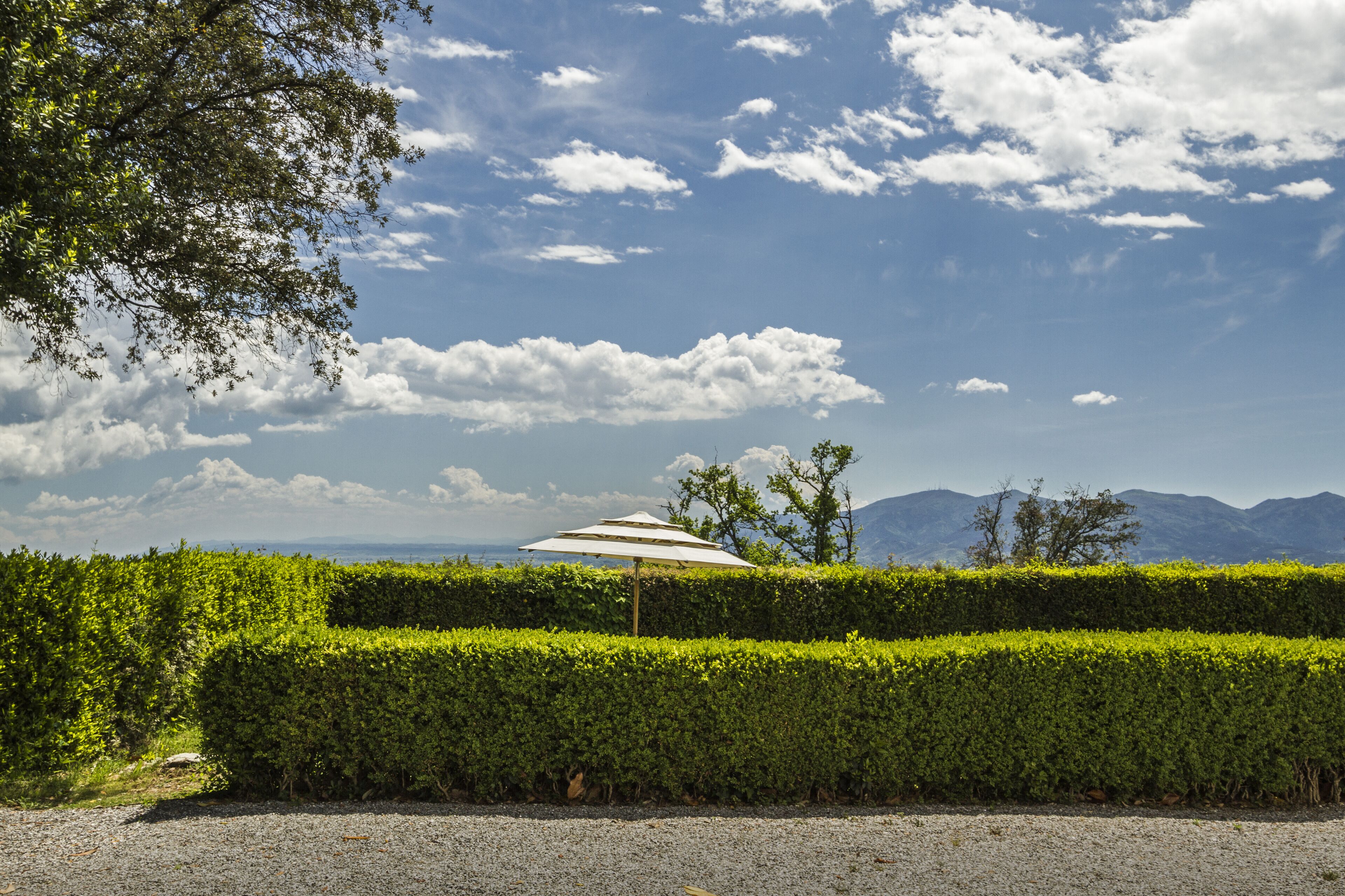 A well-maintained hedge, a gravel path, and a white umbrella in a landscaped area with mountains in the background.