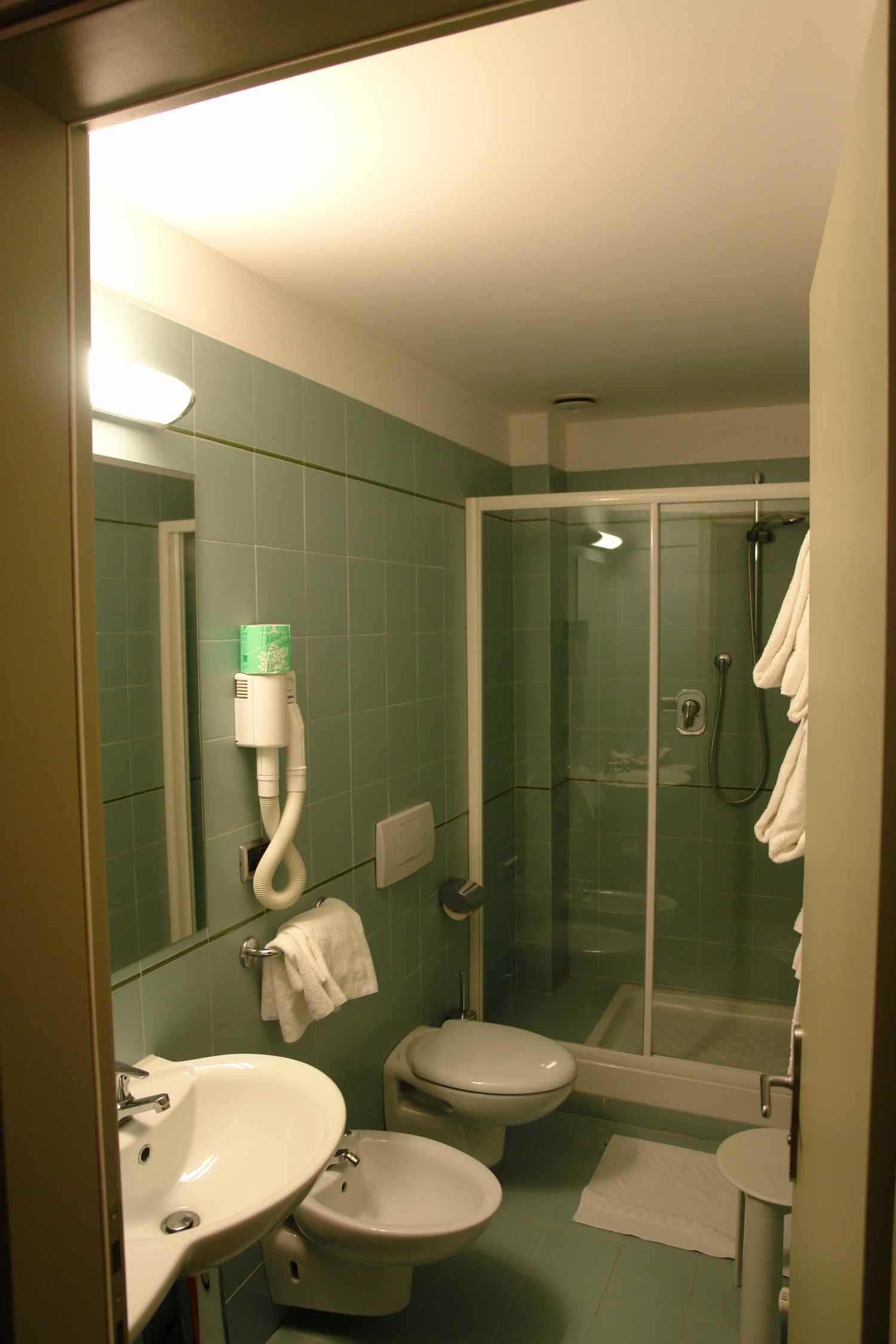 A bathroom with a shower, toilet, bidet, and sink.