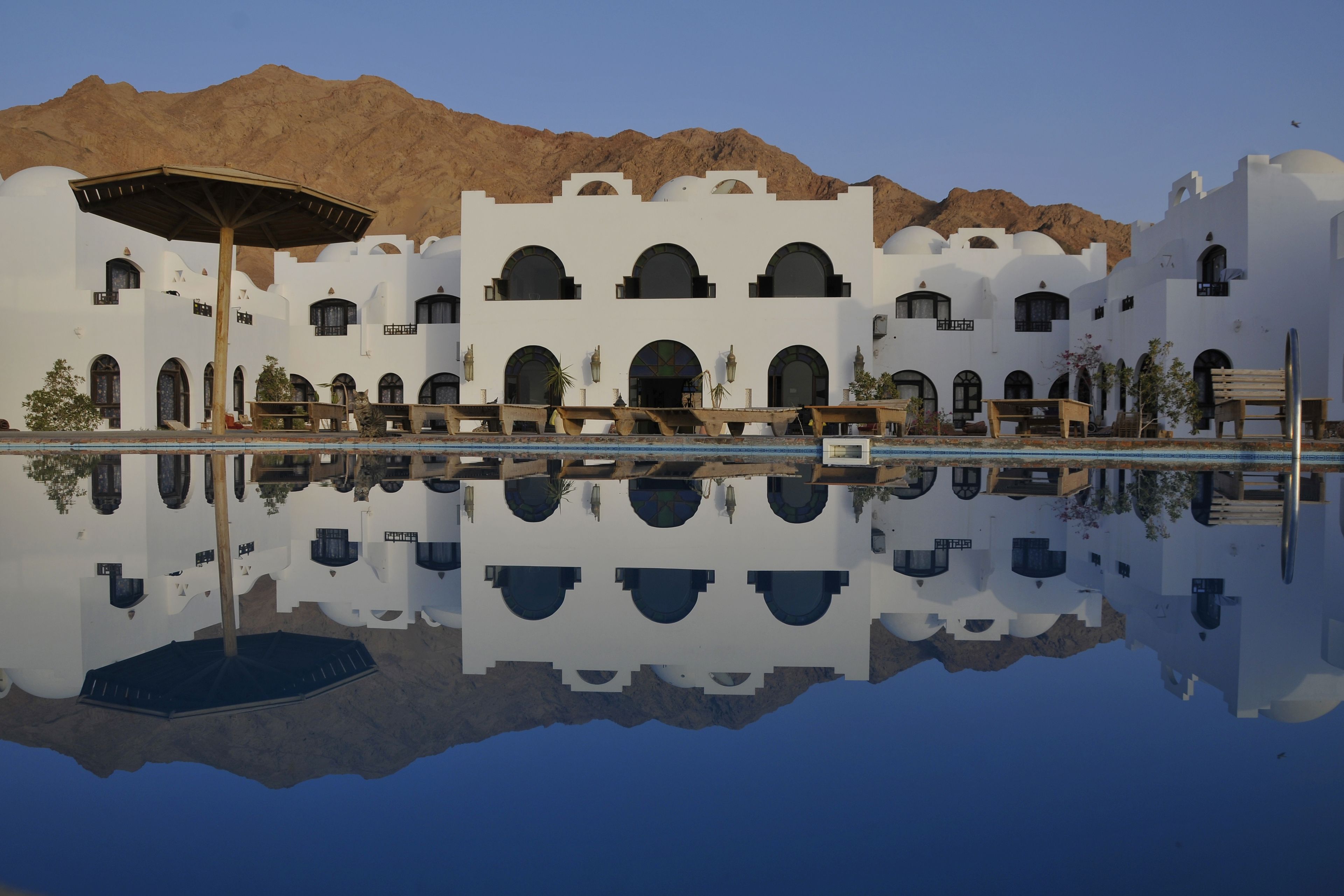 2 albercas al aire libre y sombrillas en la alberca 