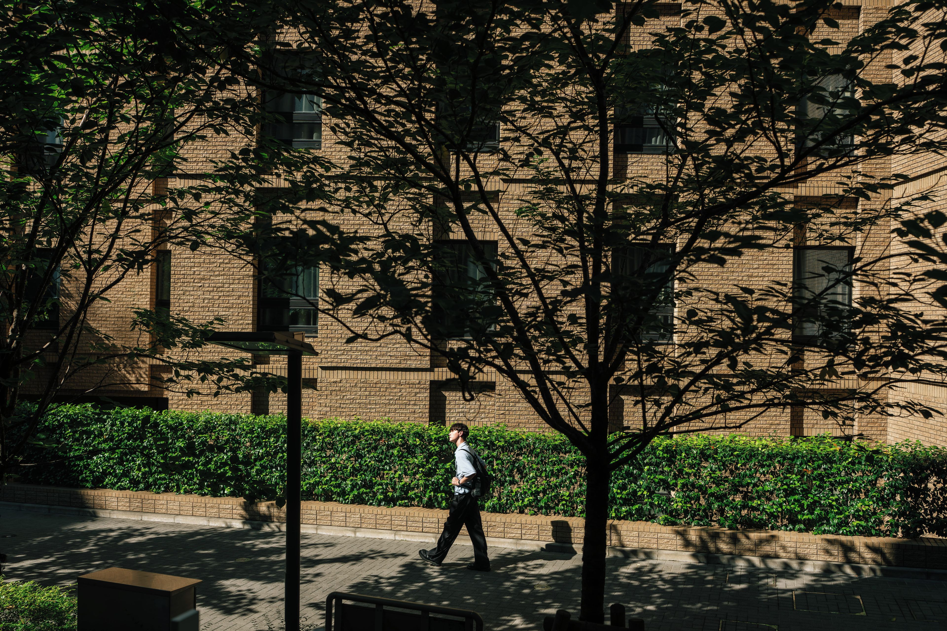 A person walking on a paved path with a brick building and green hedges in the background.
