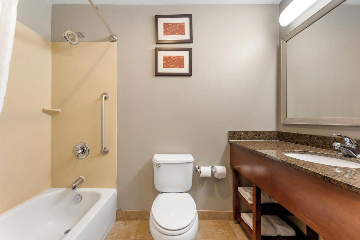 Combined shower/bathtub, free toiletries, hair dryer, towels