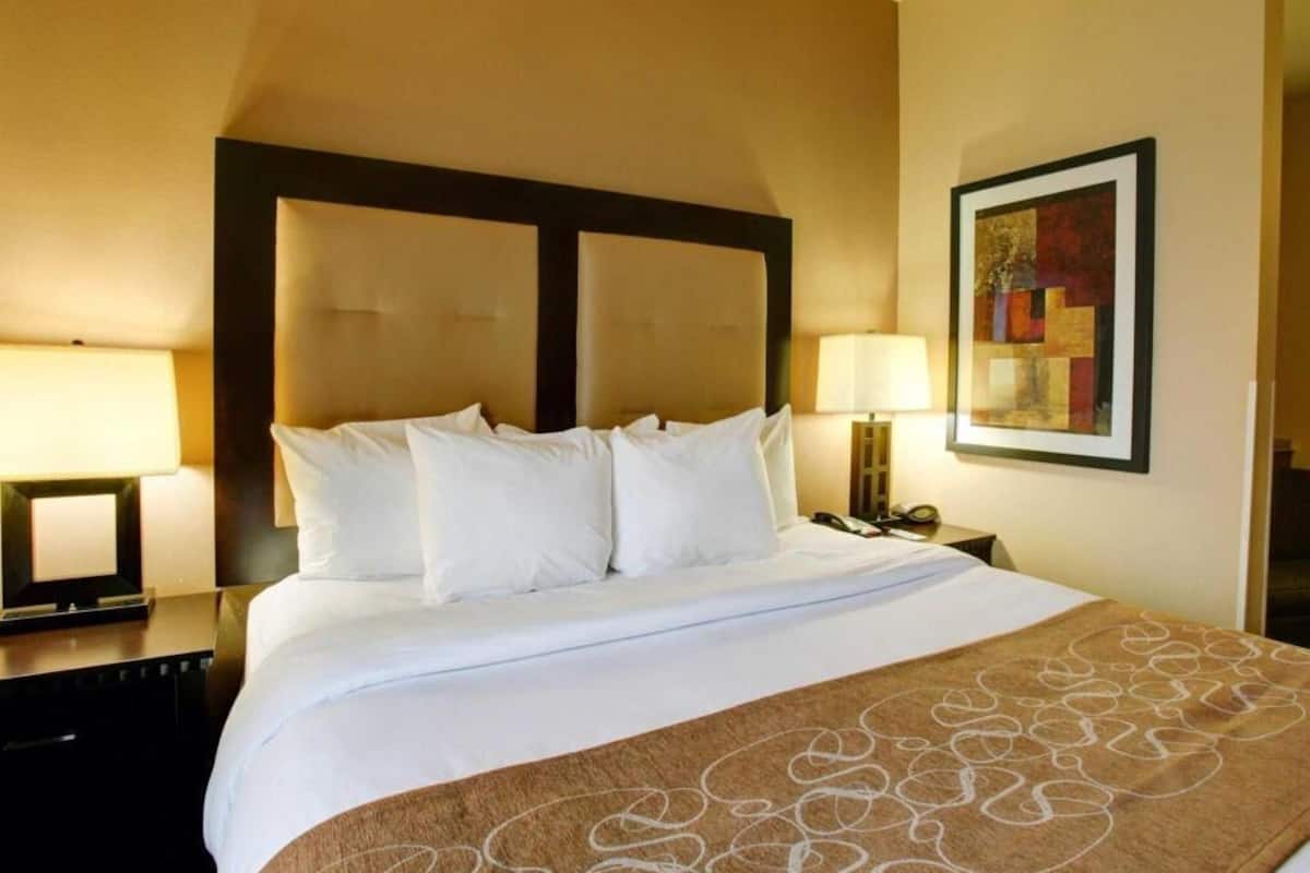 Quarto de hotel com uma cama grande, duas mesas de cabeceira, um criado-mudo, uma obra de arte emoldurada na parede e um cobertor marrom.