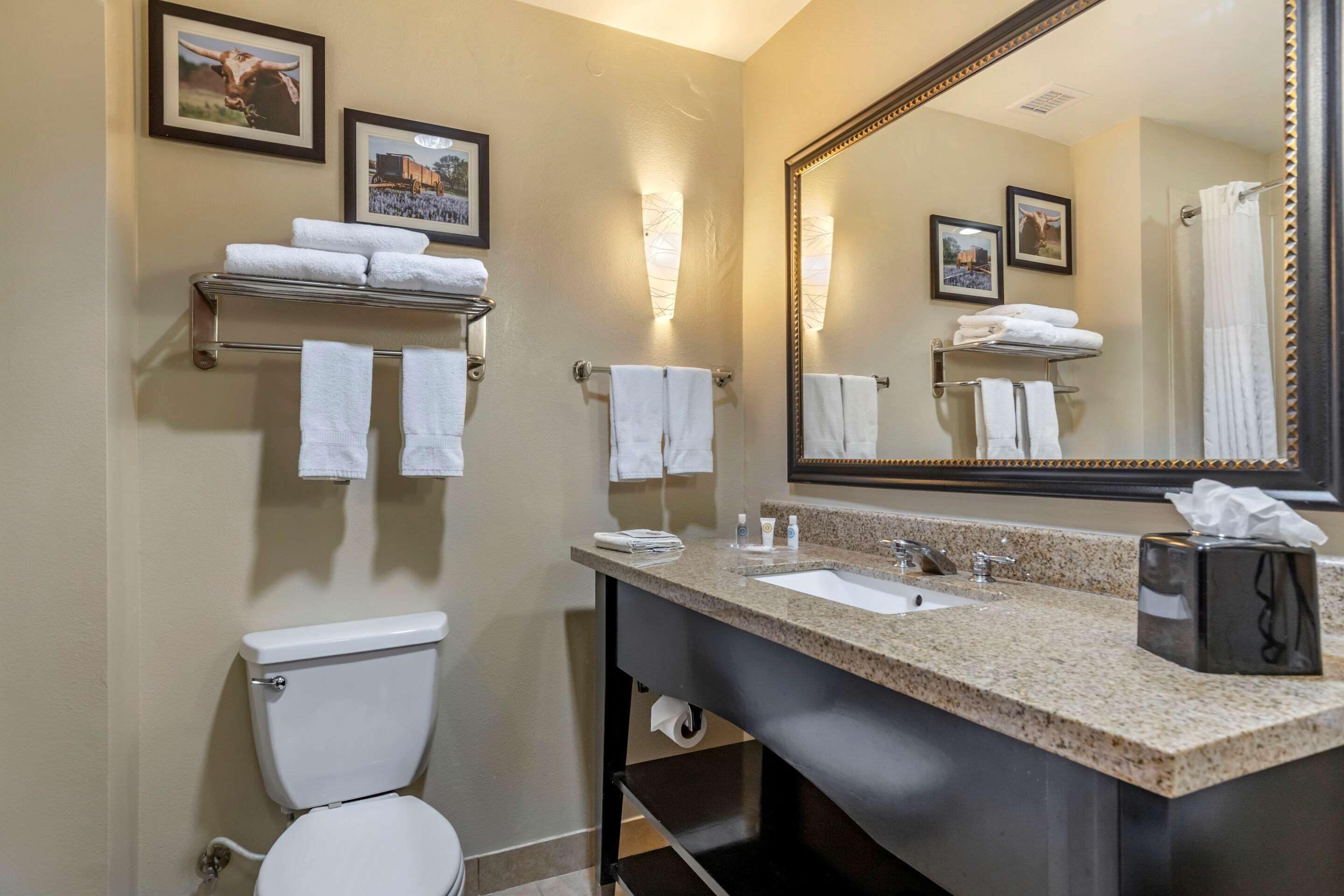 suite, non smoking | bathroom | shower, free toiletries, hair dryer, towels