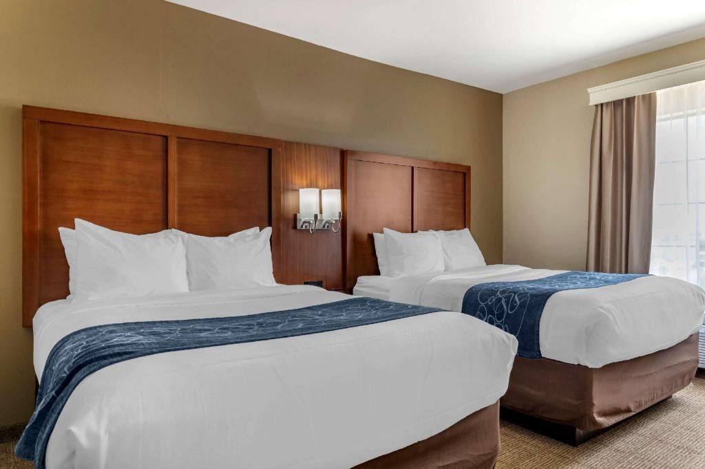 Premium bedding, desk, iron/ironing board, free WiFi