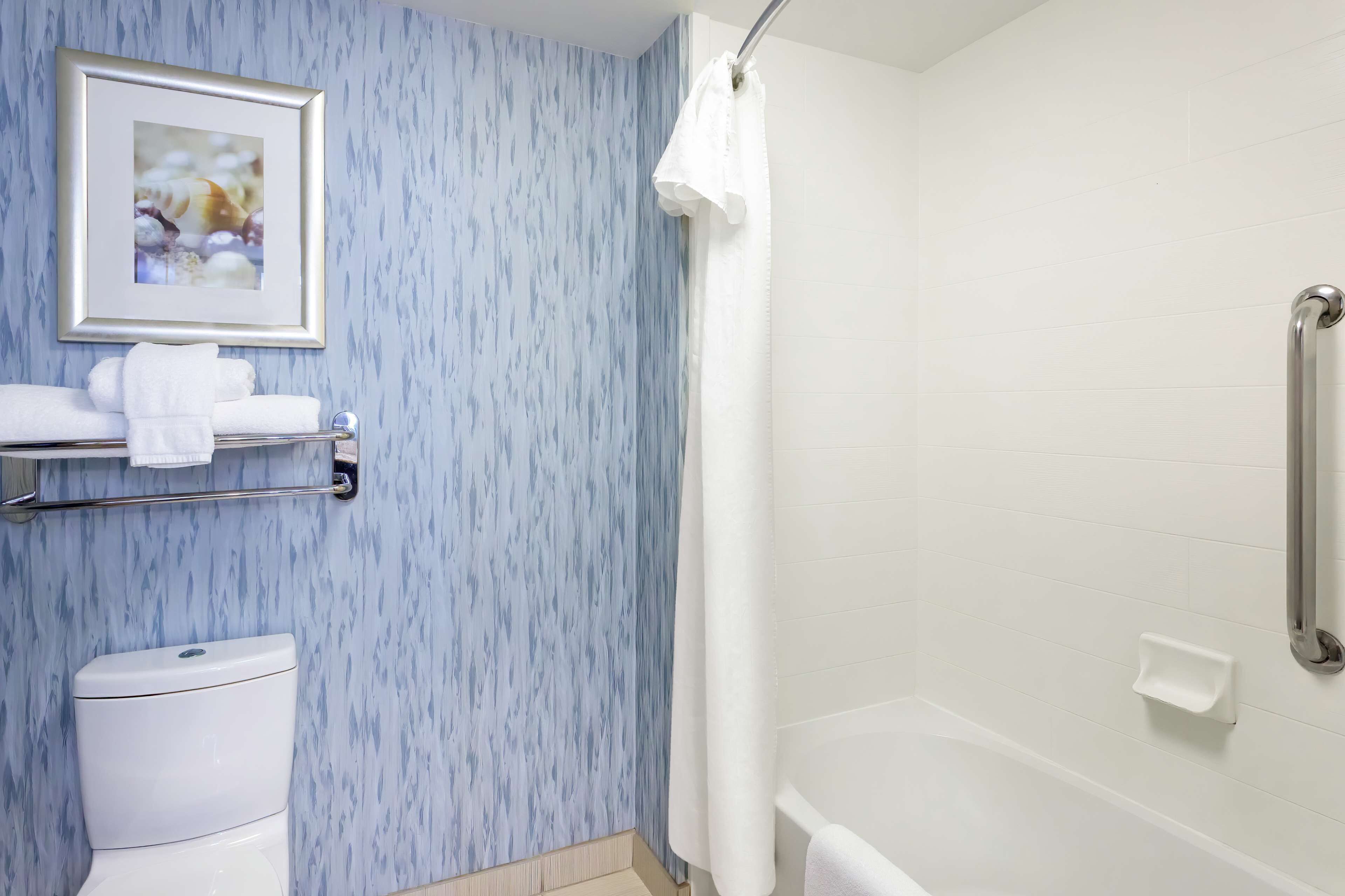 A bathroom with a toilet, a shower with a grab bar, a towel rack, and a framed picture on the wall.