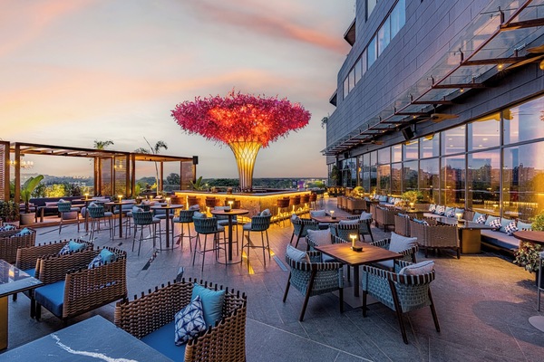 Rooftop terrace