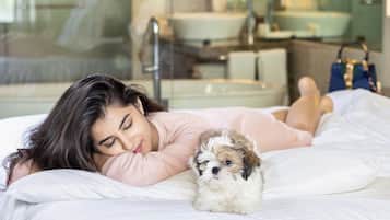 Pet-friendly