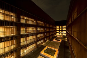 Avlu