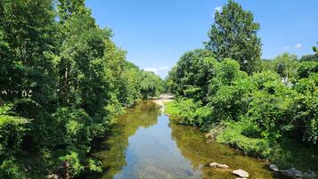 A clear river surrounded by dense greenery and trees.