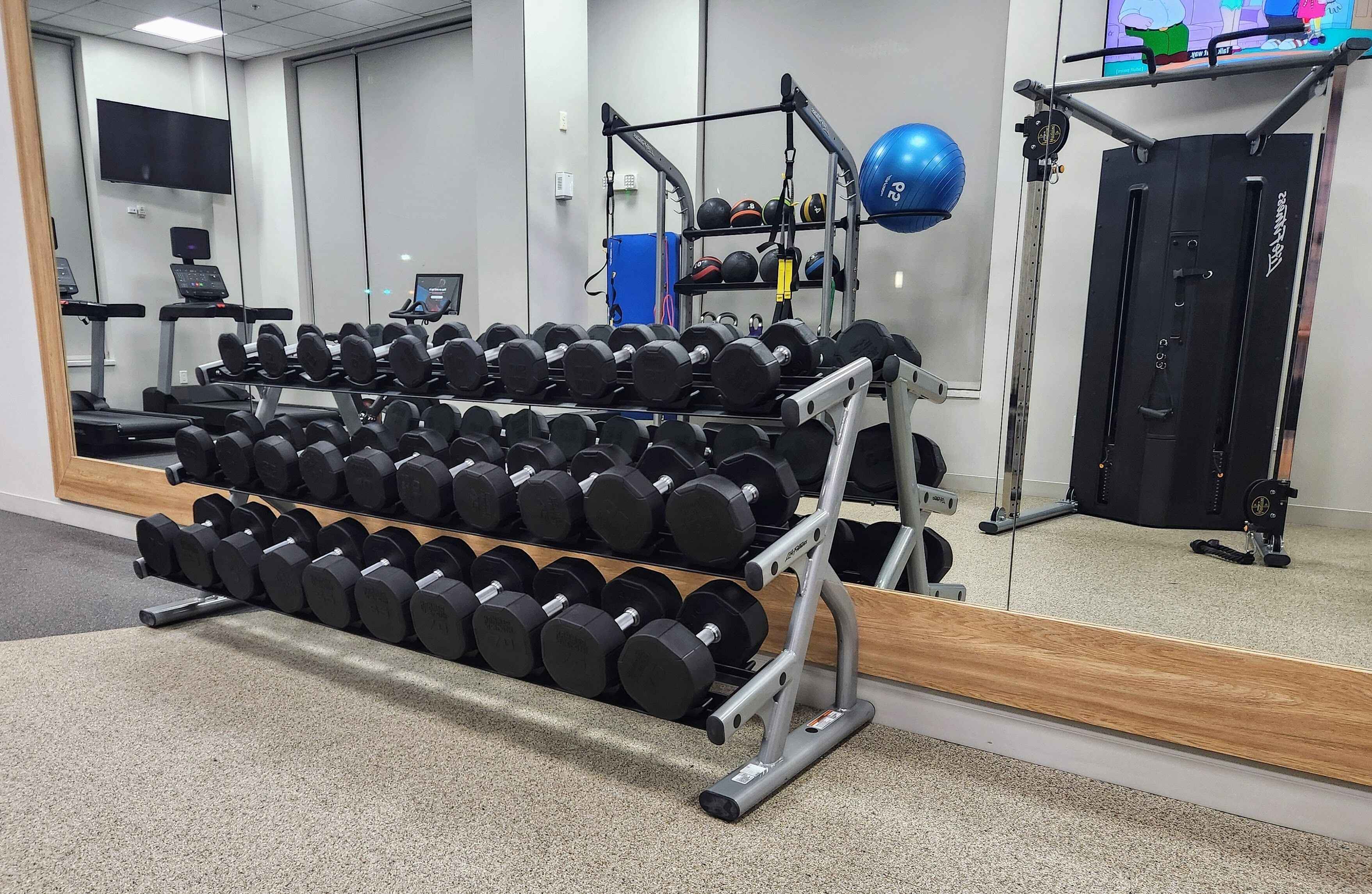 A gym with a mirror, treadmills, a rack of dumbbells, a squat rack, and exercise balls.