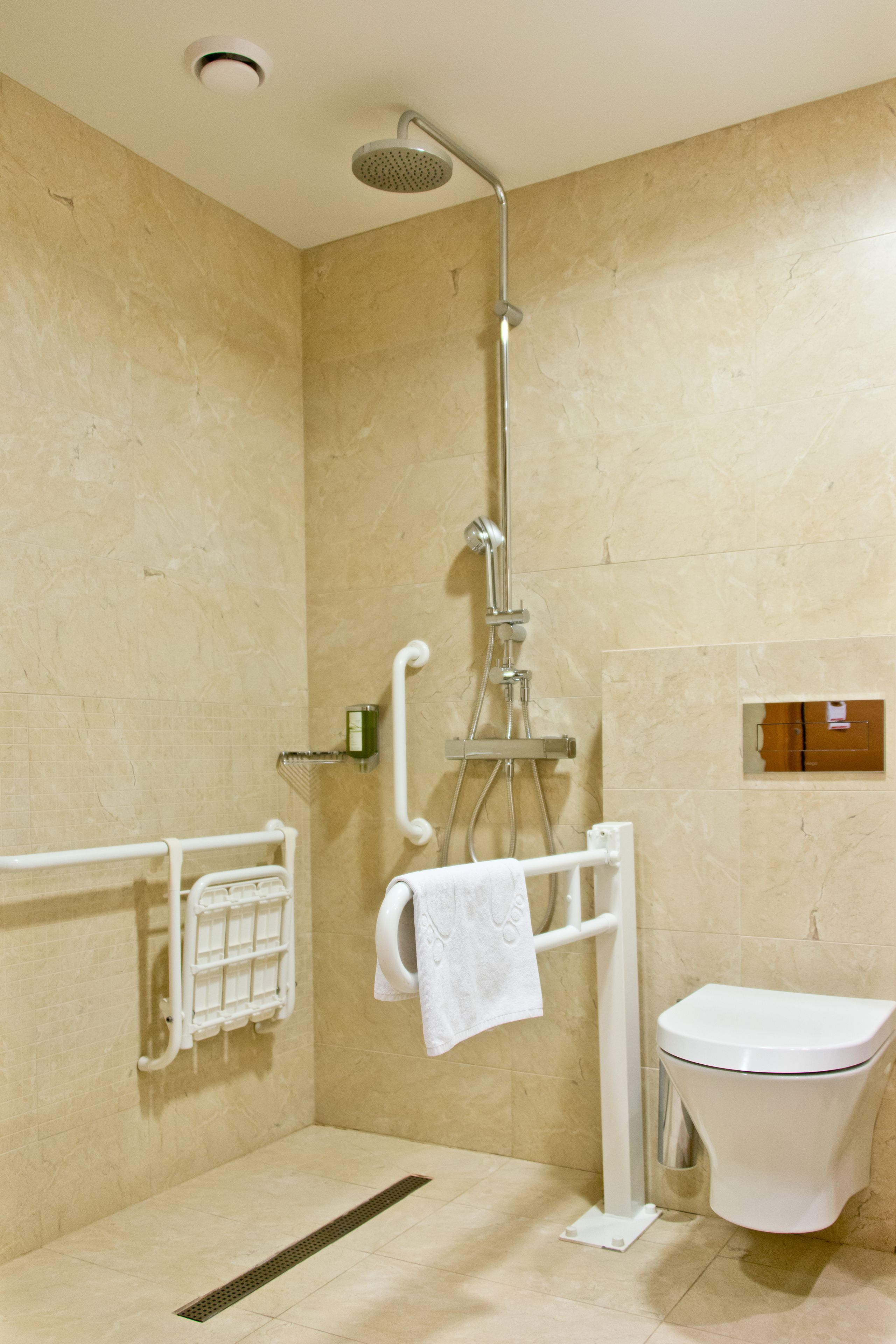 A modern bathroom with a shower, toilet, and handrails.