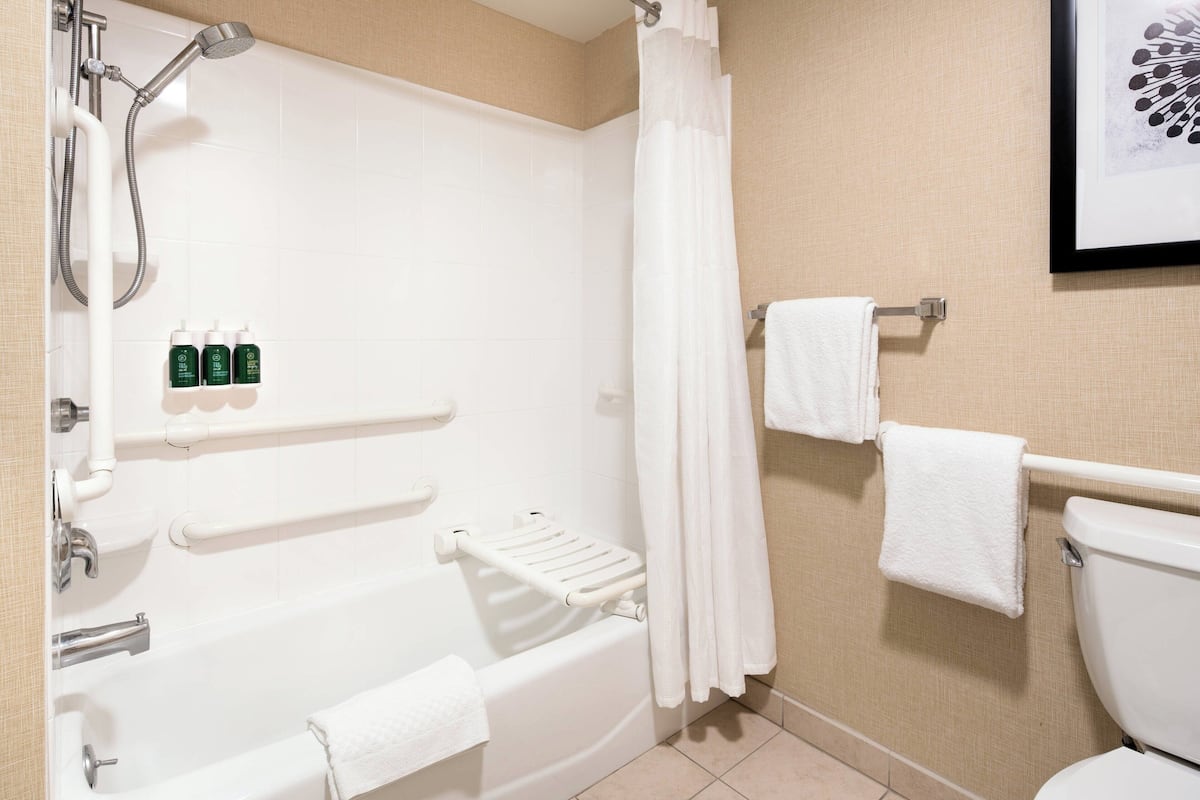 Combined shower/tub, free toiletries, hair dryer, towels