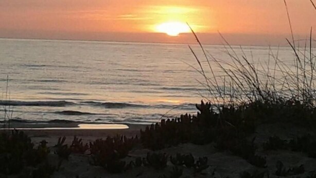 Atardecer sobre una playa con olas y vegetación escasa.