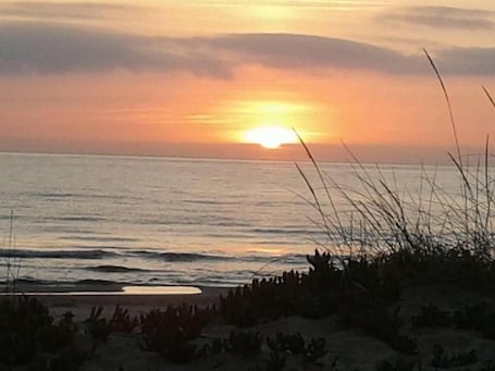A sunset over a beach with waves and sparse vegetation.