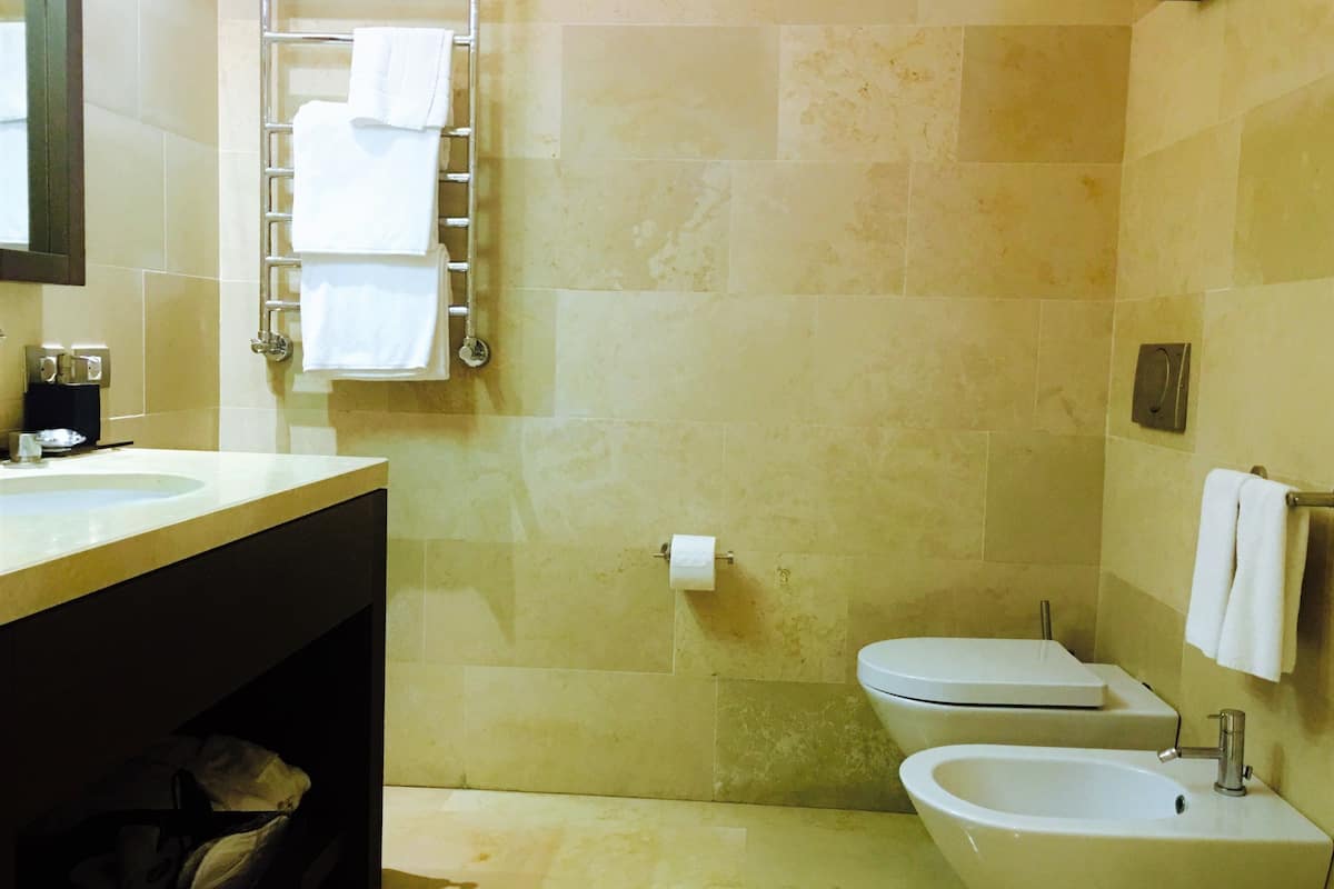 hair dryer, bidet, towels