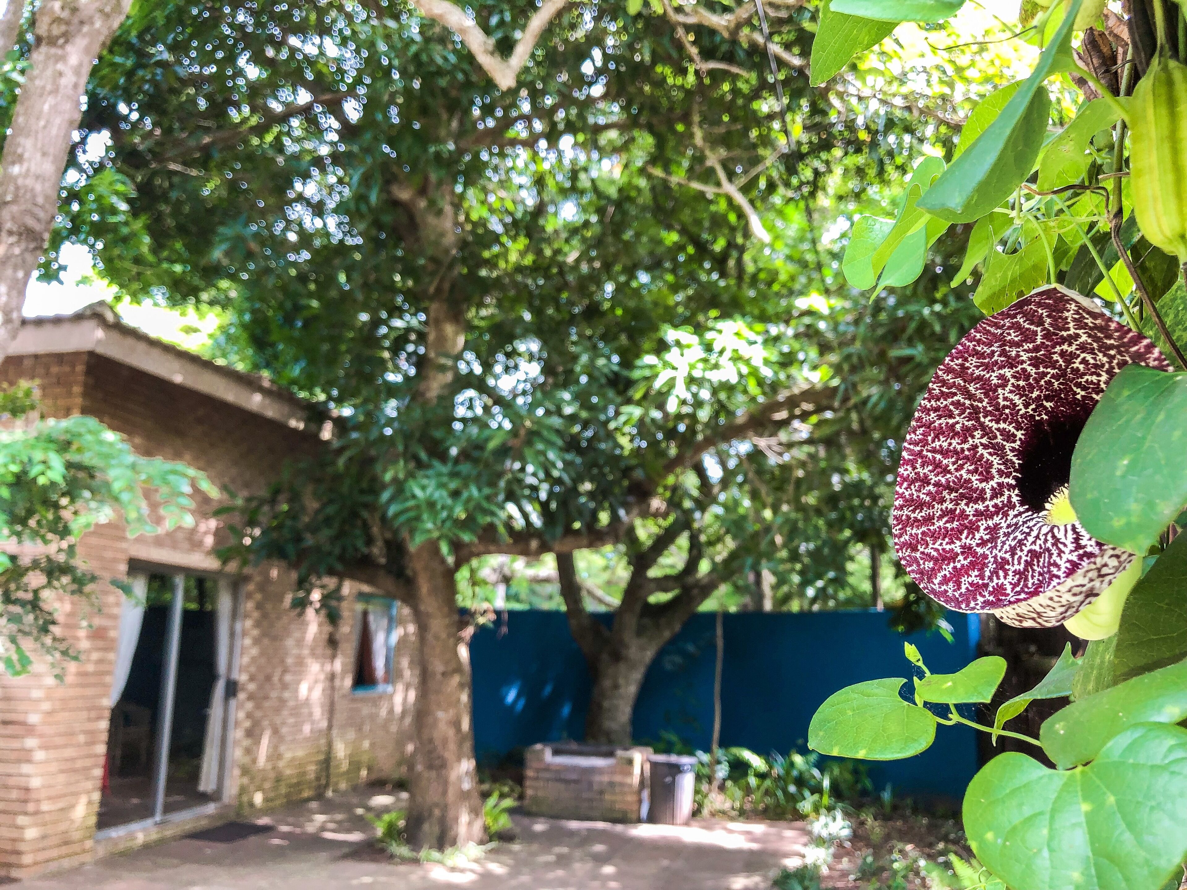 Familienapartment, 2 Schlafzimmer, Terrasse, Gartenblick | Garten