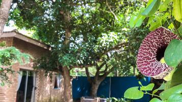 Familienapartment, 2 Schlafzimmer, Terrasse, Gartenblick | Garten