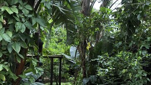 A stone pathway winding through a lush garden with dense foliage and a wooden pergola. - Ingwenya Lodge (St. Lucia)