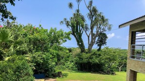 A swimming pool surrounded by lush greenery and a view of the ocean. - Ingwenya Lodge (St. Lucia)