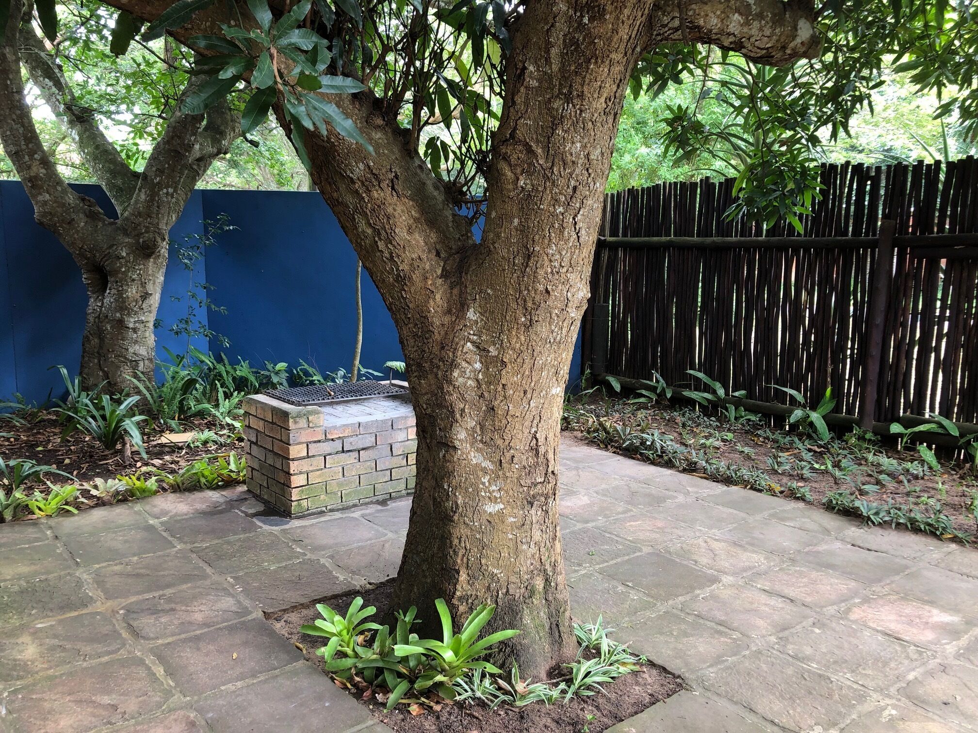 A stone-paved patio with a tree, a brick planter, and a bamboo fence.