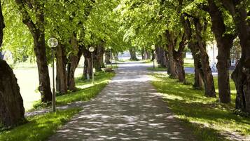 Ein von Bäumen gesäumter Weg in einem Park.