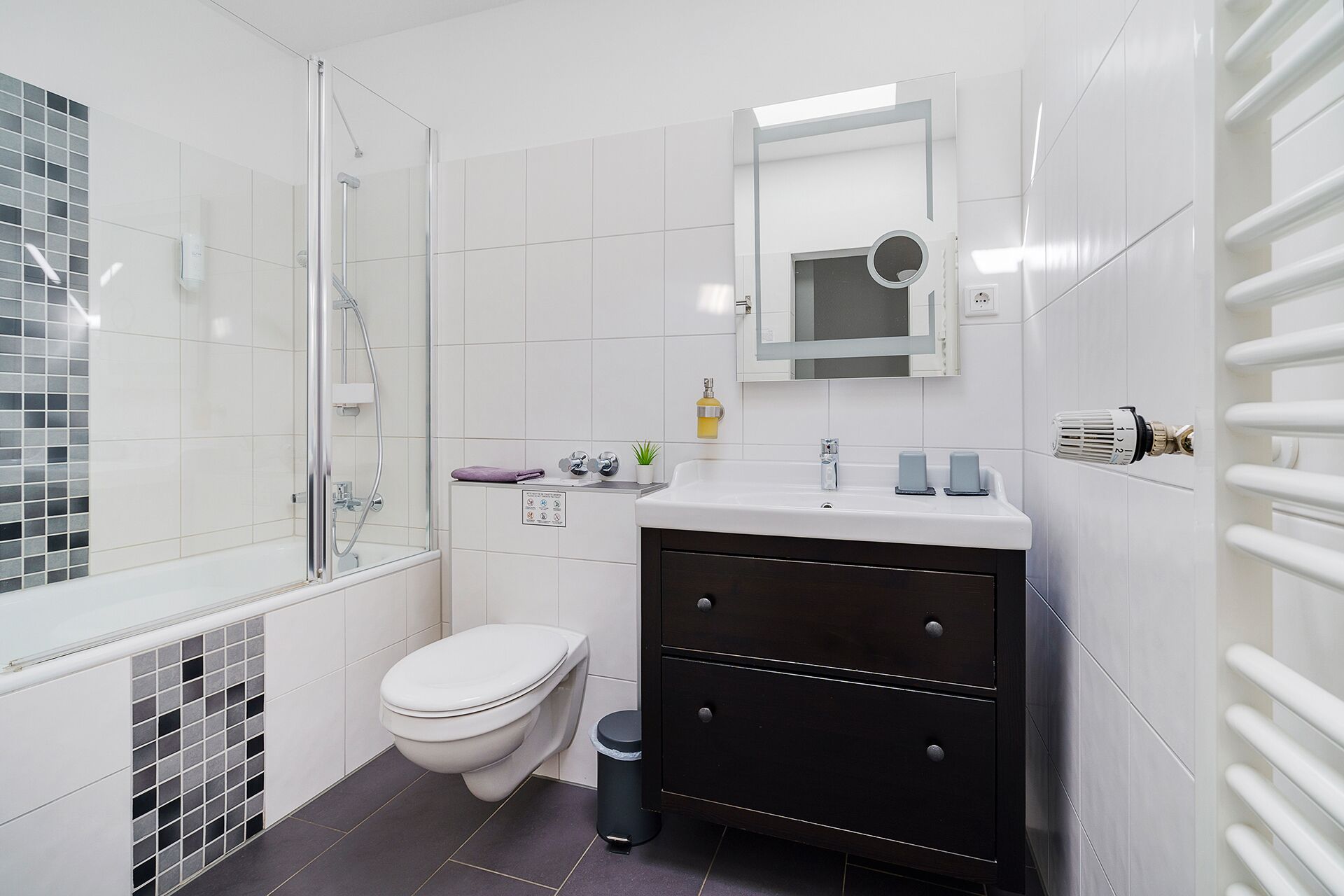 hair dryer, towels, soap, shampoo