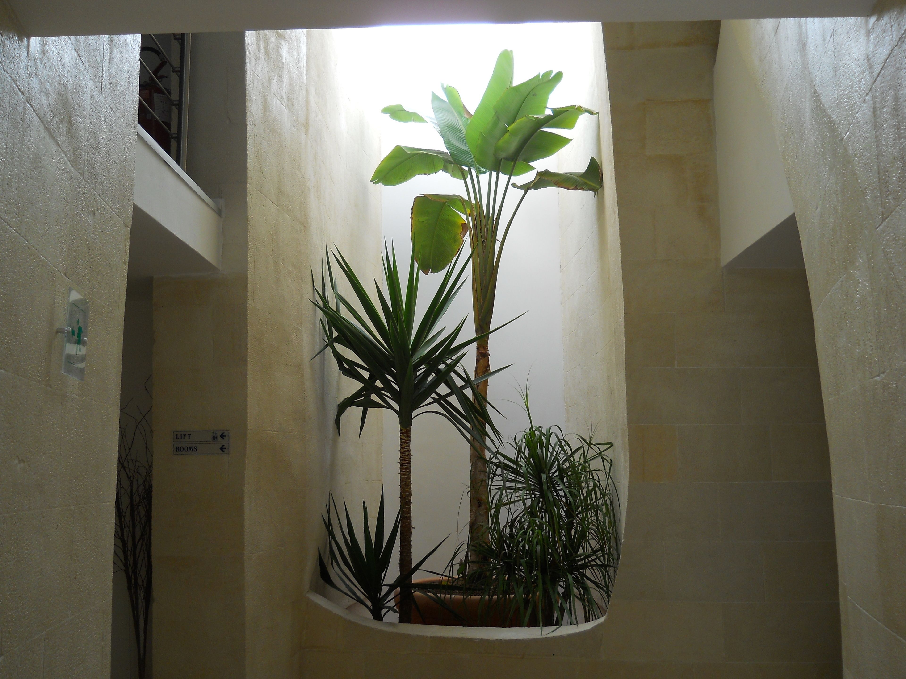 Foto - Dimora San Giuseppe Hotel & SPA