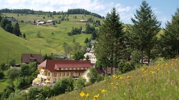 Ulkopuoli