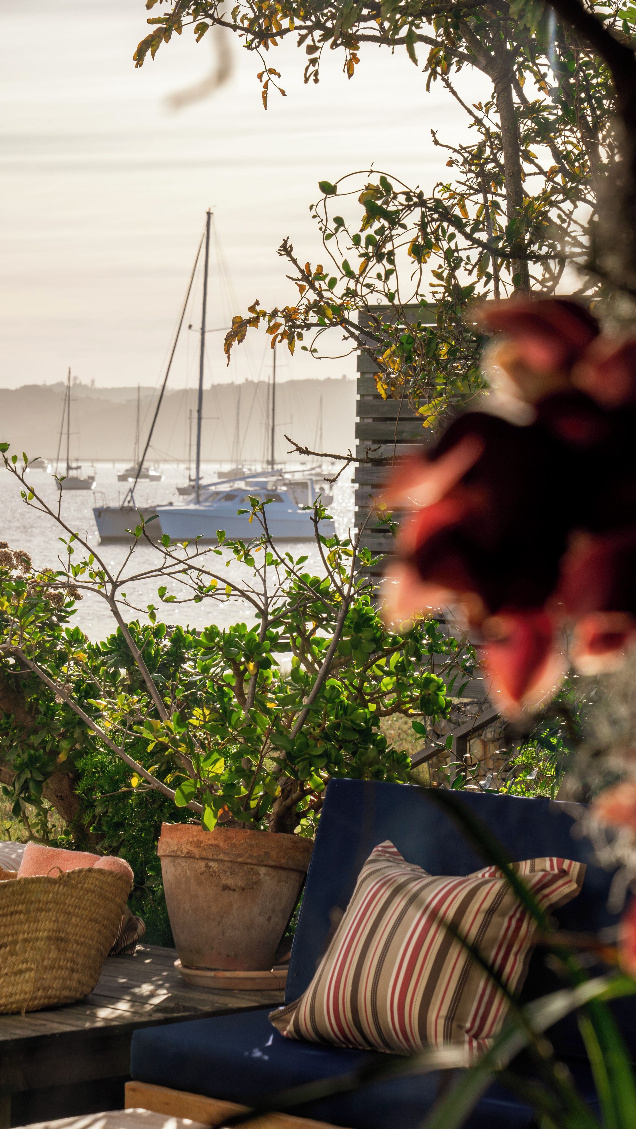 A patio with a view of boats, potted plants, and a striped pillow.