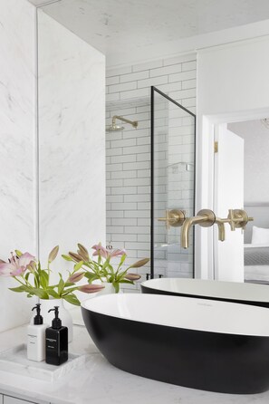 Premium Double or Twin Room | Bathroom | Hair dryer, towels