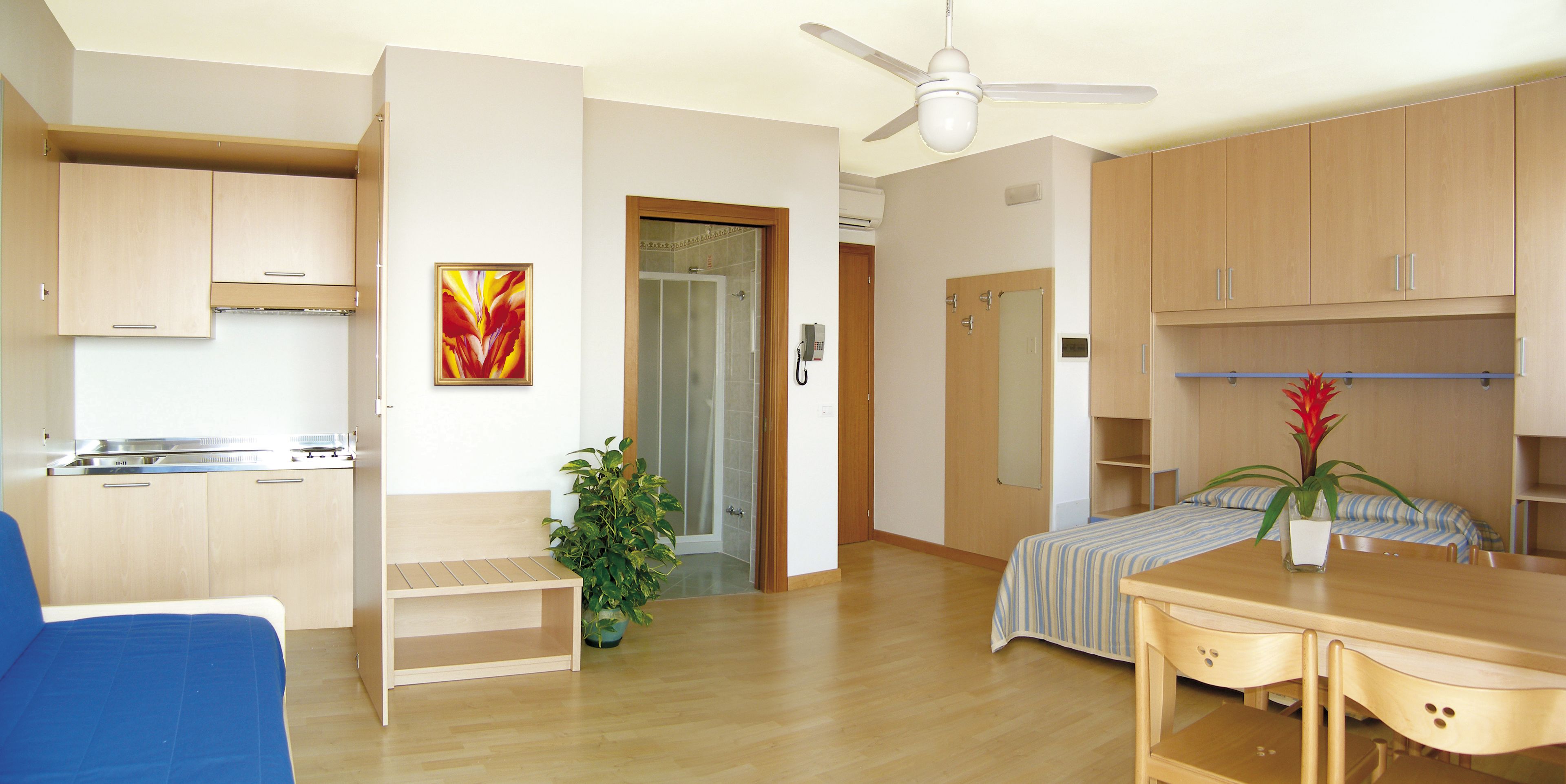 studio (with sofa bed ) | in-room safe, desk, free wifi