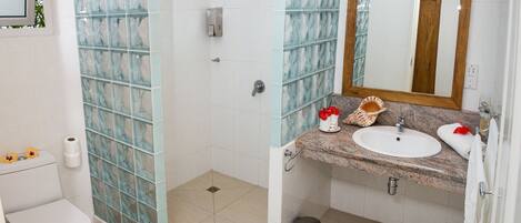 Un baño con cabina de ducha de vidrio, lavabo con espejo e inodoro.