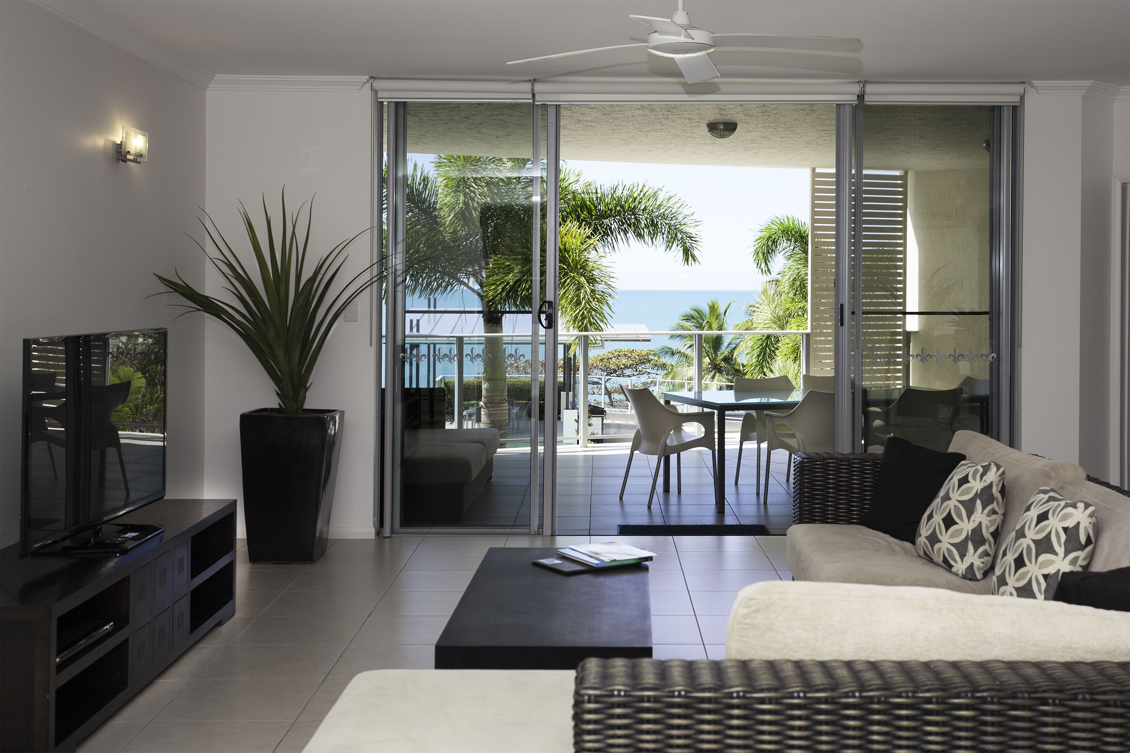 A modern living room with a sofa, coffee table, TV, and a large potted plant.