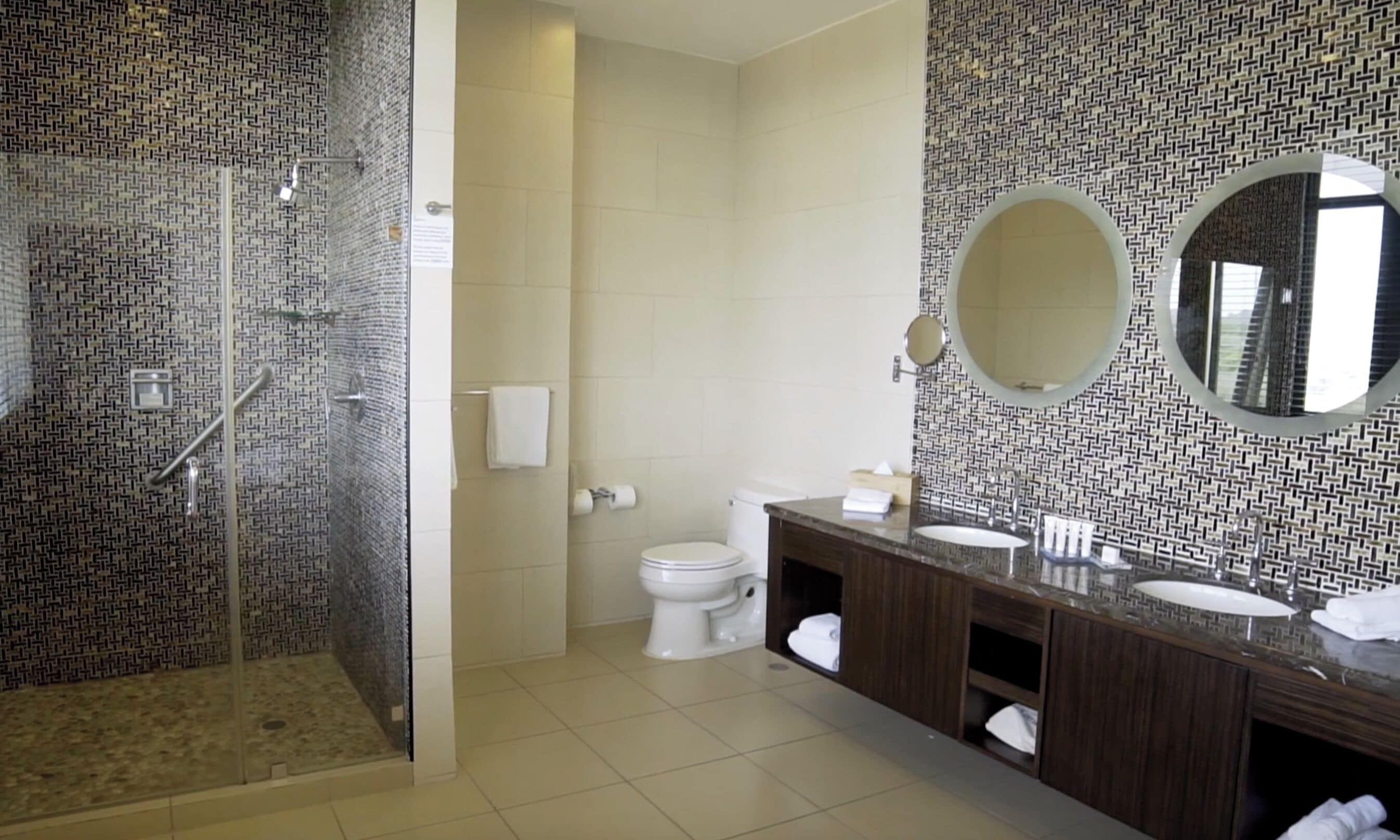 A bathroom with a shower, toilet, and vanity with a mirror.
