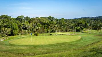 Enjoy a round of golf amidst lush green fairways and beautifully manicured putting greens surrounded by trees.