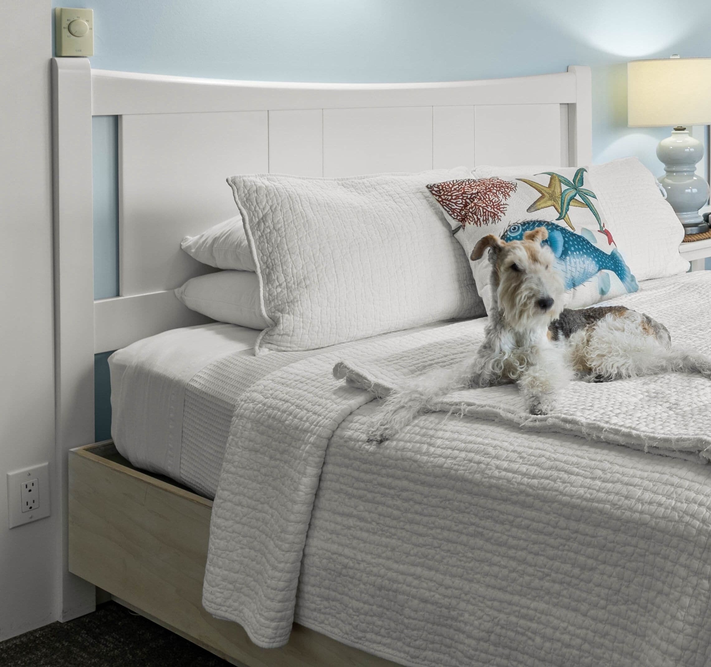 standard room, 1 queen bed (dog friendly) | 1 bedroom, premium bedding, memory-foam beds, blackout curtains